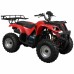 Квадроцикл SPARK SP150-2 (150 см.куб.)_3